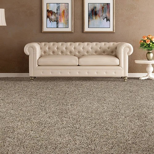 Marquis Floors providing stain-resistant pet proof carpet in Lilburn, GA
